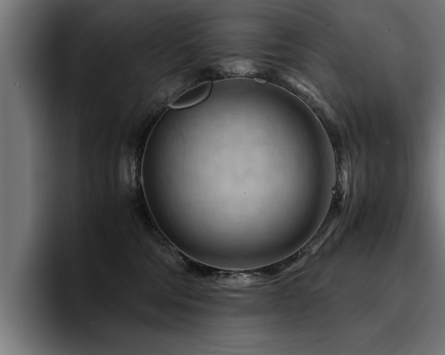 X0000094450330200711081310