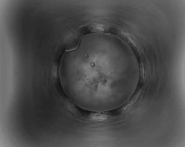 X0000094450331200711081310