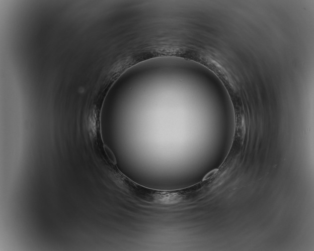 X0000094450334200711081310