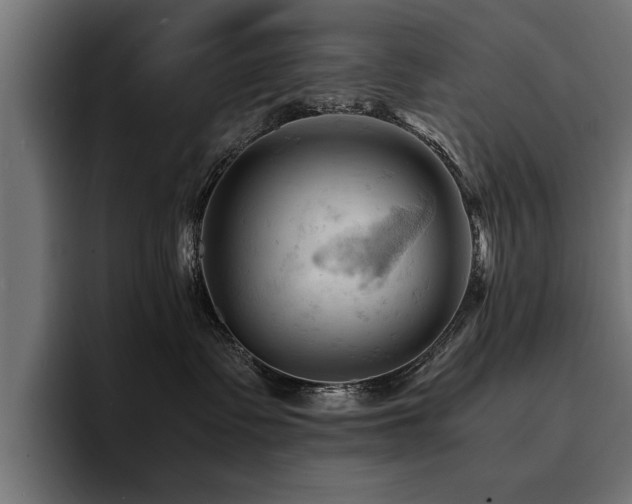 X0000094450335200711081310
