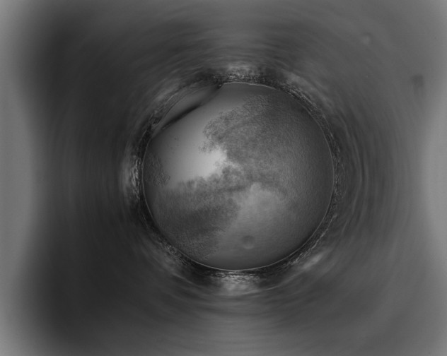 X0000094450336200711081310
