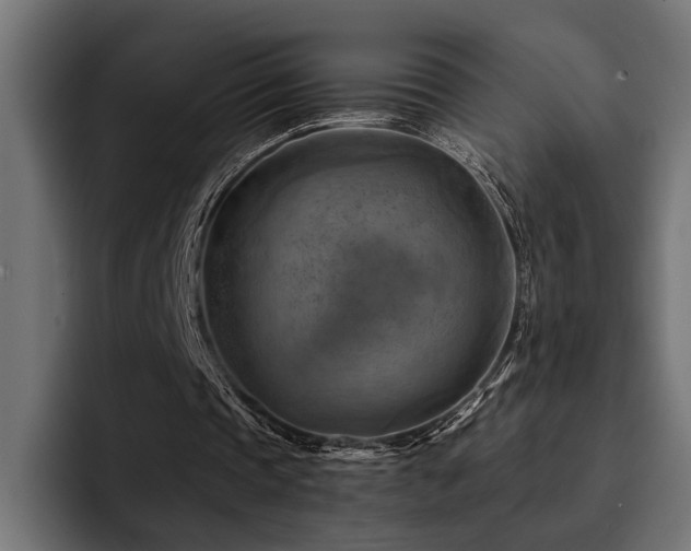 X0000094450337200711081309