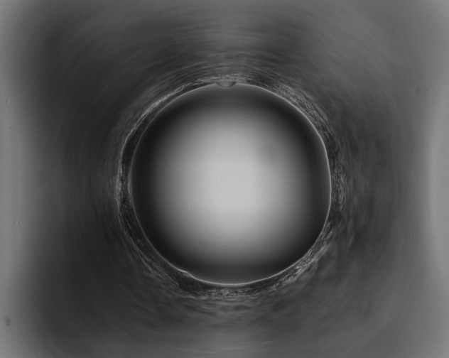 X0000094450338200711081309