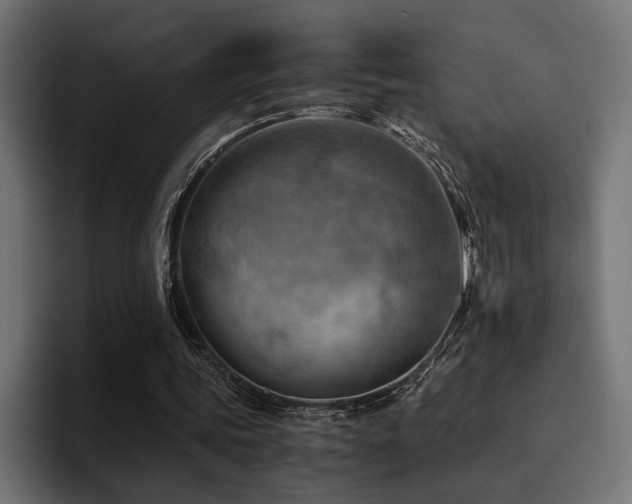 X0000094450339200711081309
