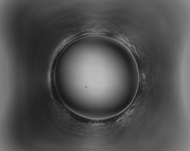 X0000094450340200711081309