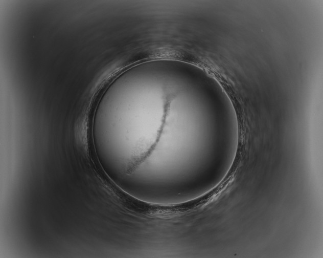 X0000094450341200711081309