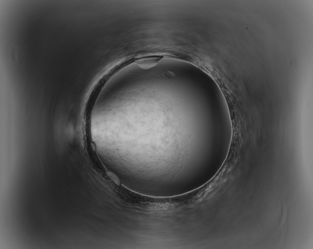 X0000094450342200711081309