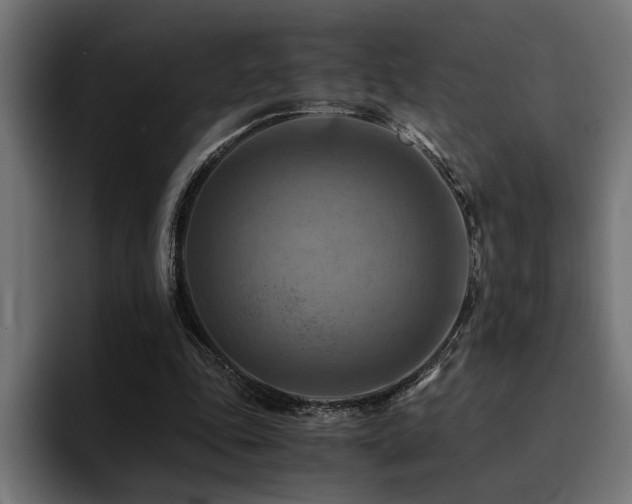 X0000094450343200711081309