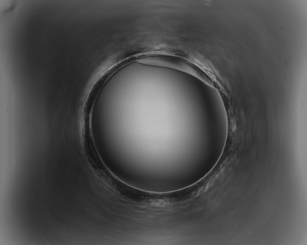 X0000094450344200711081309