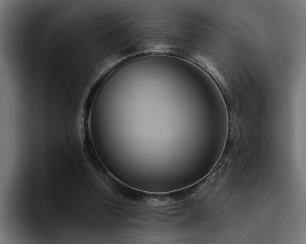 X0000094450346200711081309