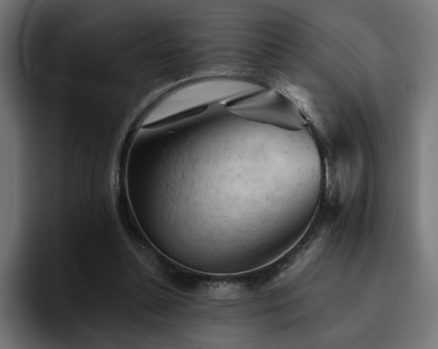 X0000094450348200711081309