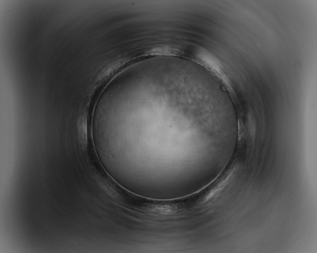 X0000094450349200711081309