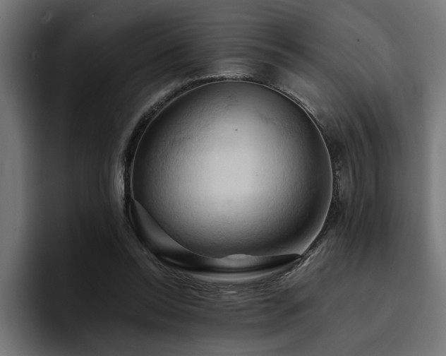 X0000094450350200711081309