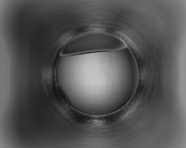 X0000094450352200711081309