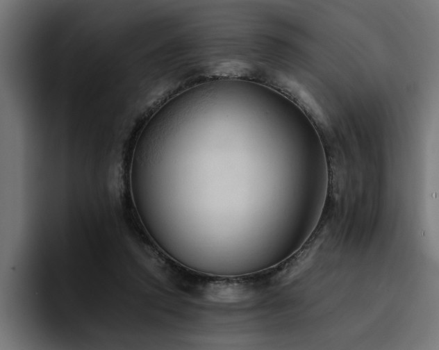 X0000094450354200711081309