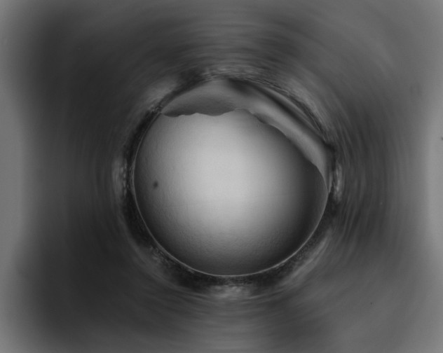 X0000094450356200711081309