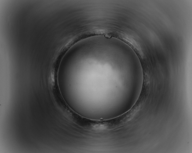 X0000094450358200711081309