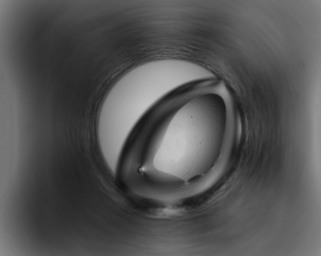 X0000094450360200711081309