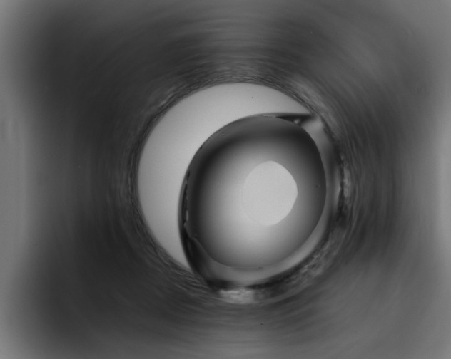 X0000094450362200711081310