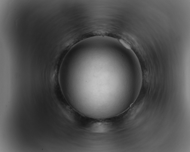 X0000094450364200711081310