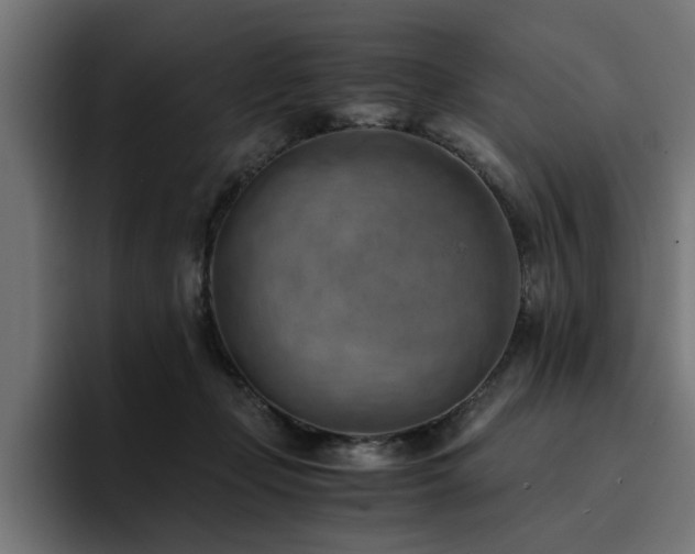 X0000094450365200711081310