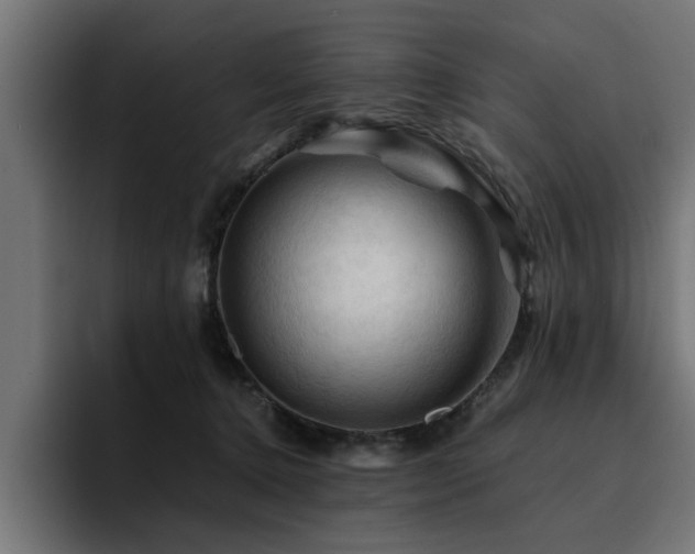X0000094450368200711081310