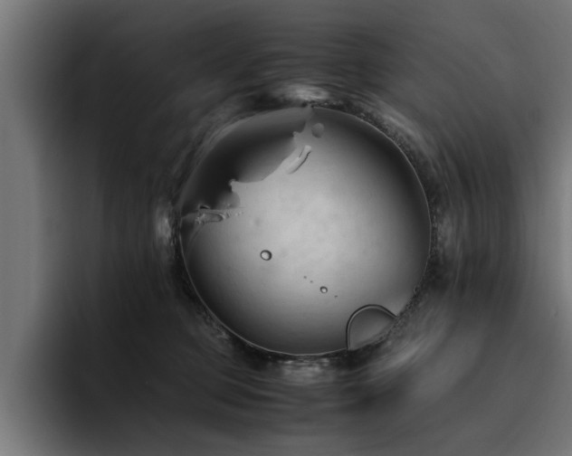 X0000094450373200711081310
