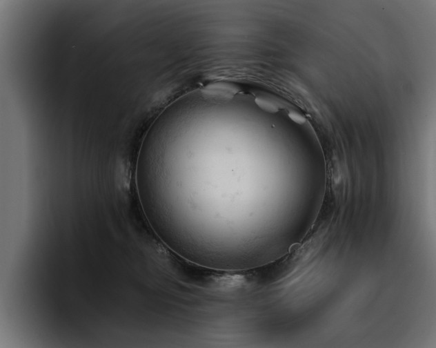 X0000094450374200711081310