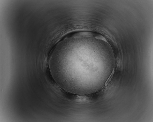 X0000094450376200711081310