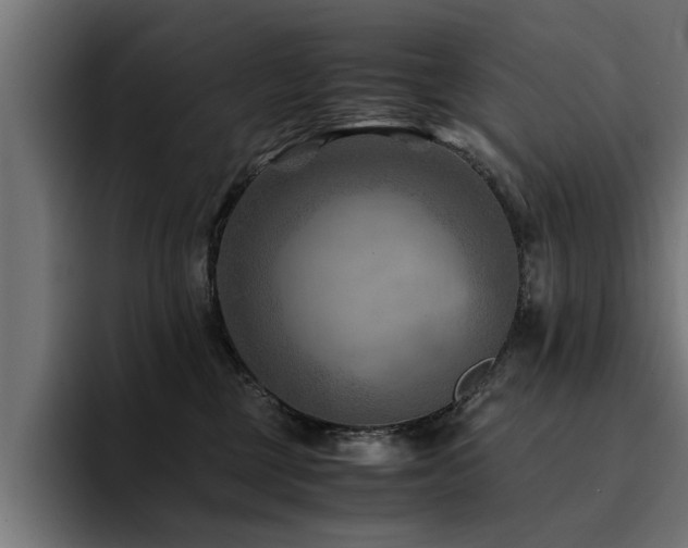 X0000094450377200711081310