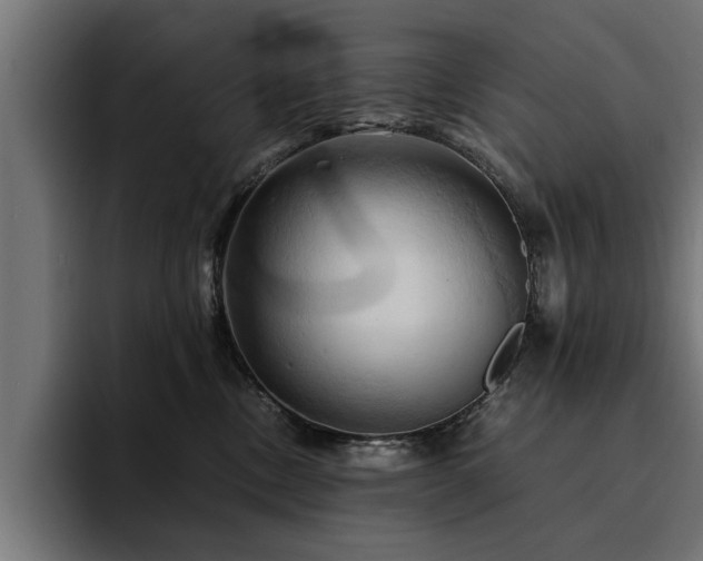 X0000094450378200711081310