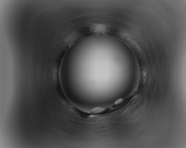 X0000094450379200711081310