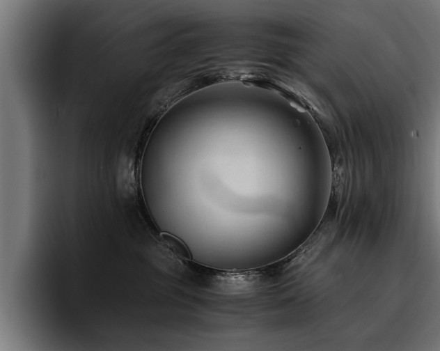 X0000094450381200711081310