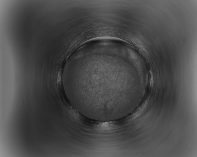 X0000094450382200711081310