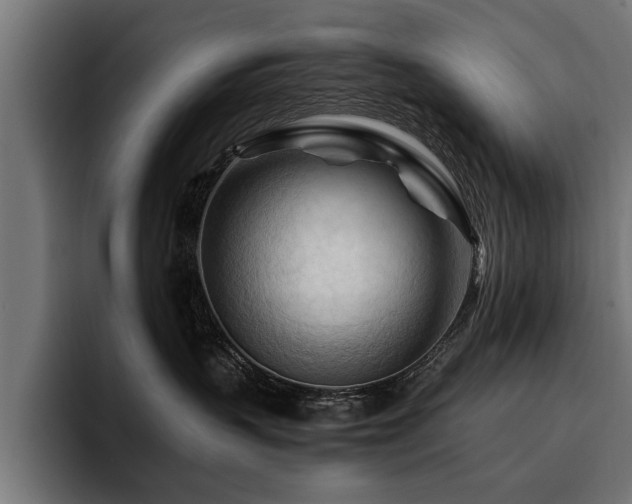 X0000094450383200711081310