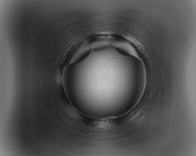 X0000094450384200711081310