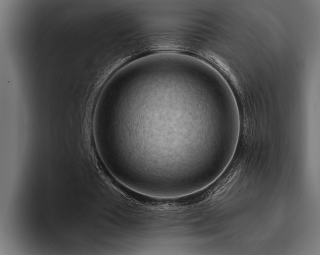 X0000094450385200711081309