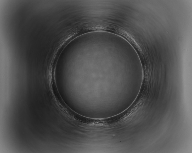 X0000094450386200711081309