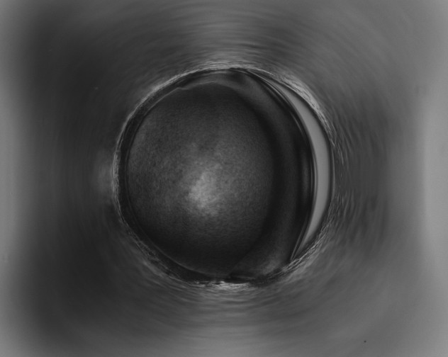X0000094450387200711081309