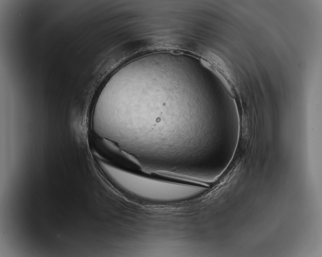 X0000094450389200711081309