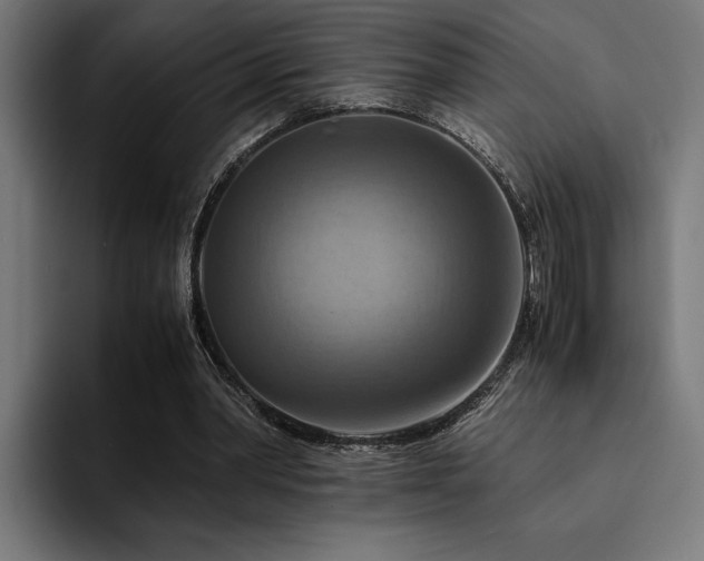 X0000094450390200711081309