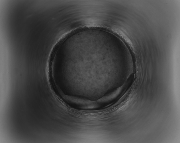 X0000094450391200711081309