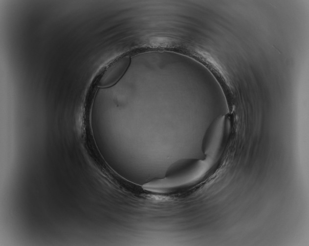 X0000094450392200711081309