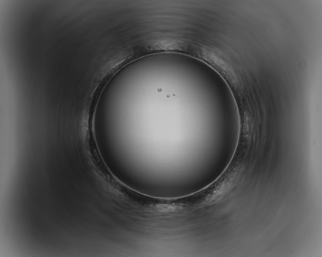 X0000094450394200711081309