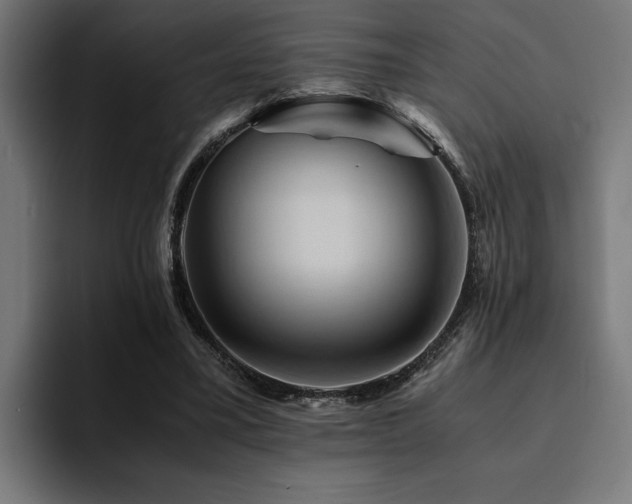 X0000094450395200711081309