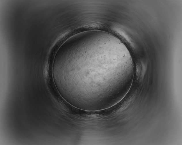 X0000094450396200711081309