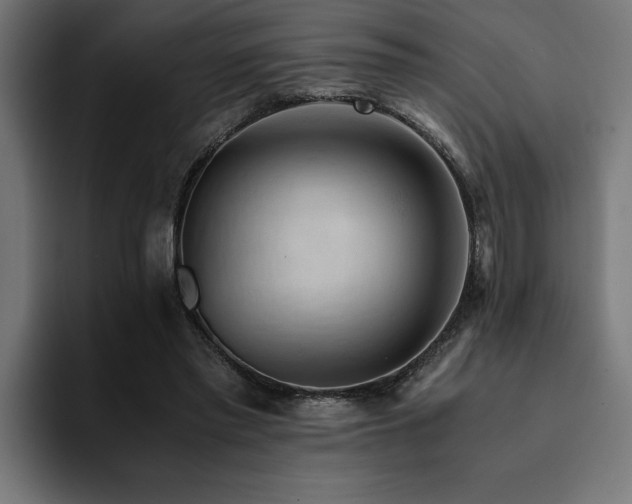 X0000094450397200711081309