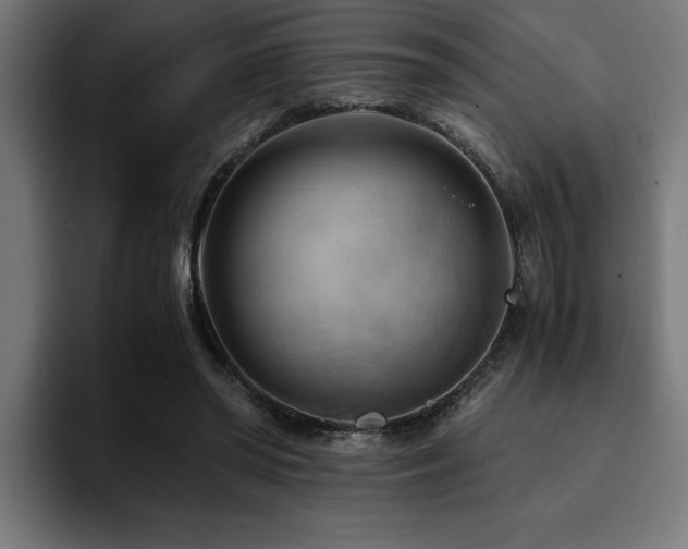 X0000094450398200711081309