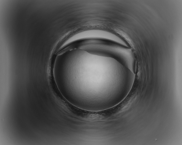 X0000094450399200711081309
