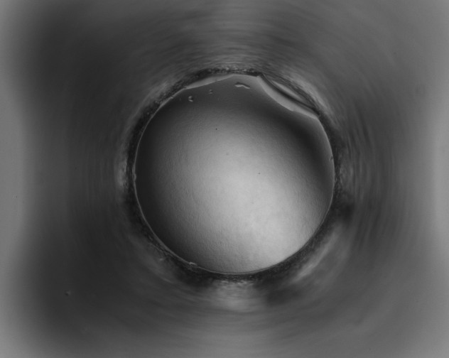 X0000094450403200711081309
